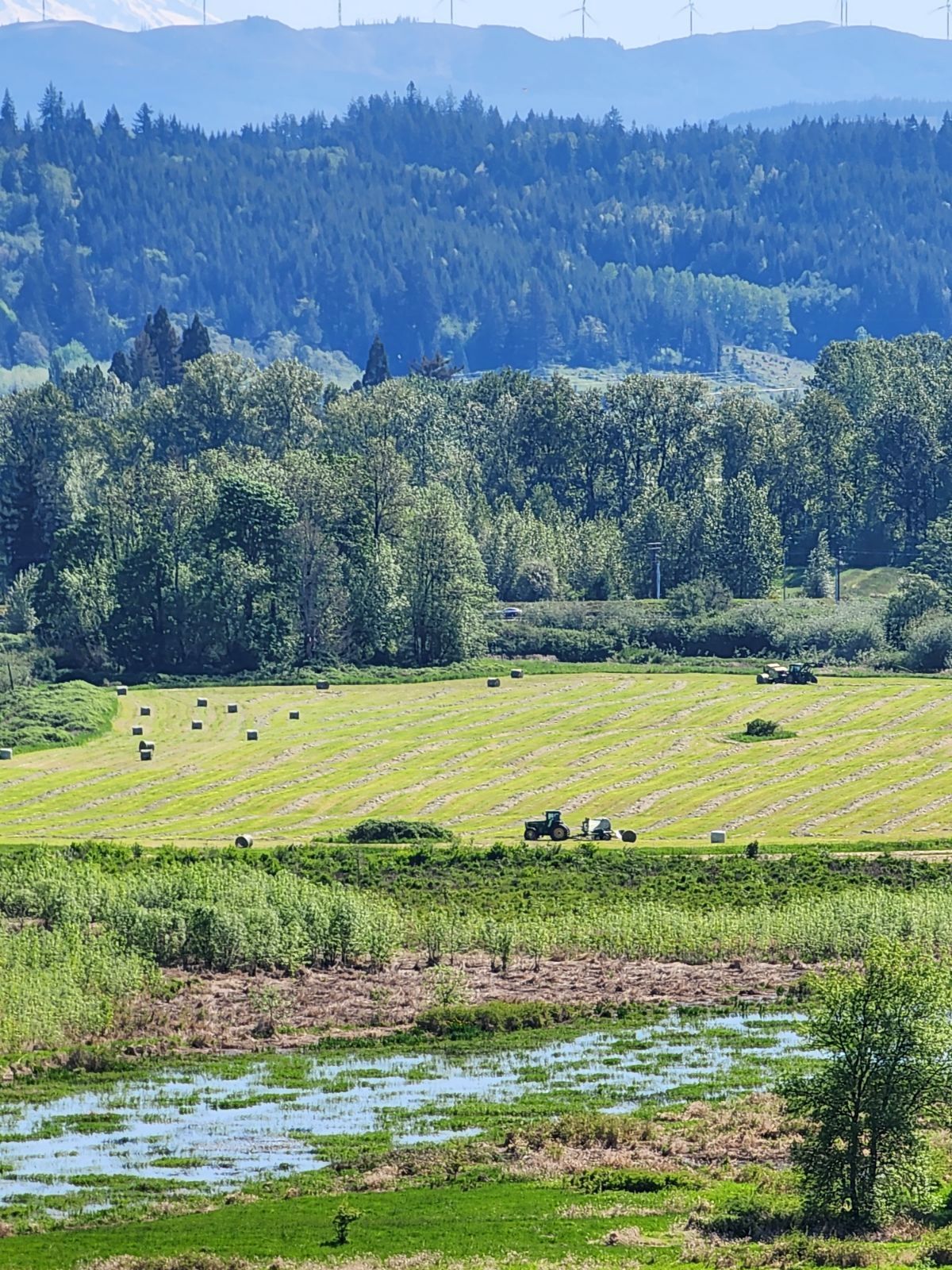 Perfectly Pastured Ground Beef Boxes