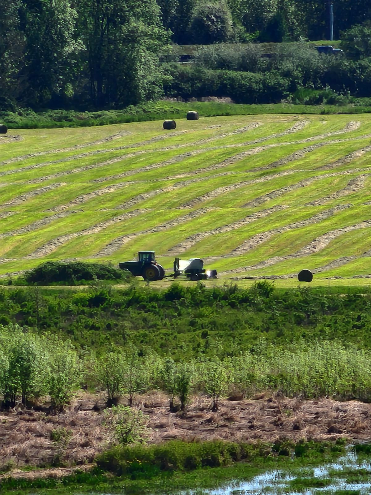 Pastured Beef-January Pre-order
