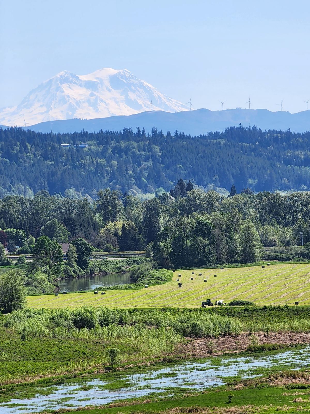 Perfectly Pastured Ground Beef Boxes