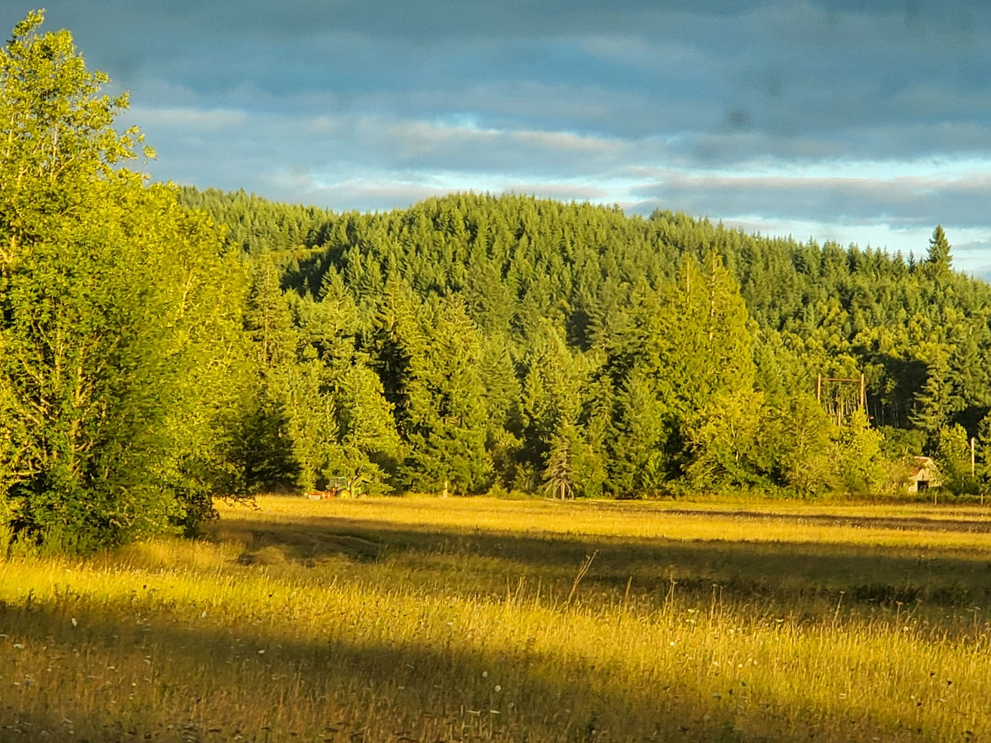 Pastured Beef-January Pre-order