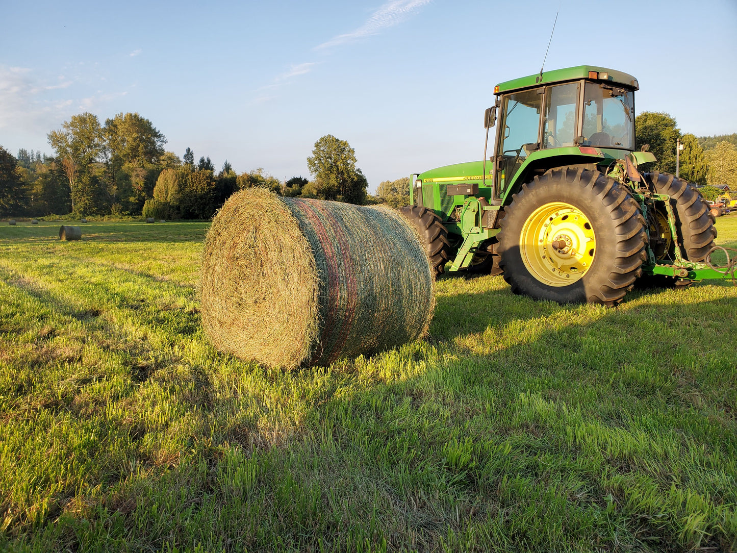 Pastured Beef-January Pre-order