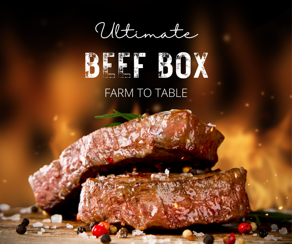 Pastured Beef-January Pre-order